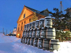 北海道关西七日漫游记 冰雪温泉与古都风华的完美邂逅